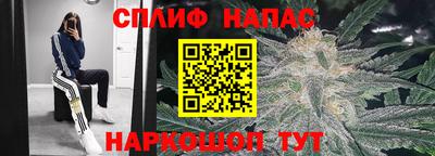 Альфа ПВП Славянск-на-Кубани